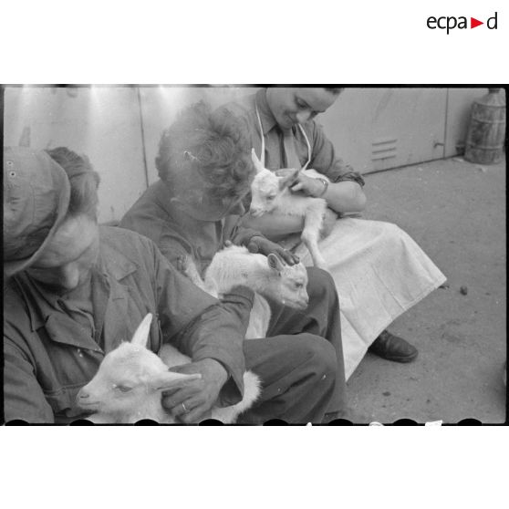 Des soldats français soignent des chevreaux abandonnés dans les fermes allemandes.