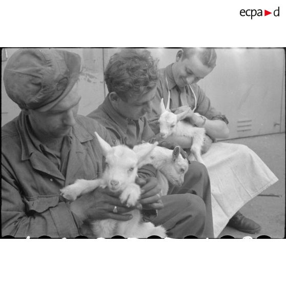 Des soldats français soignent des chevreaux abandonnés dans les fermes allemandes.