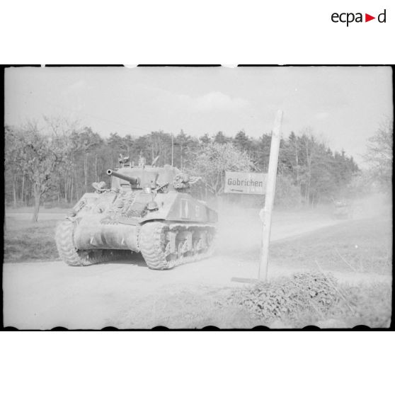 Prise de la ville de Freudestadt - Progression en Forêt Noire. [description provisoire]