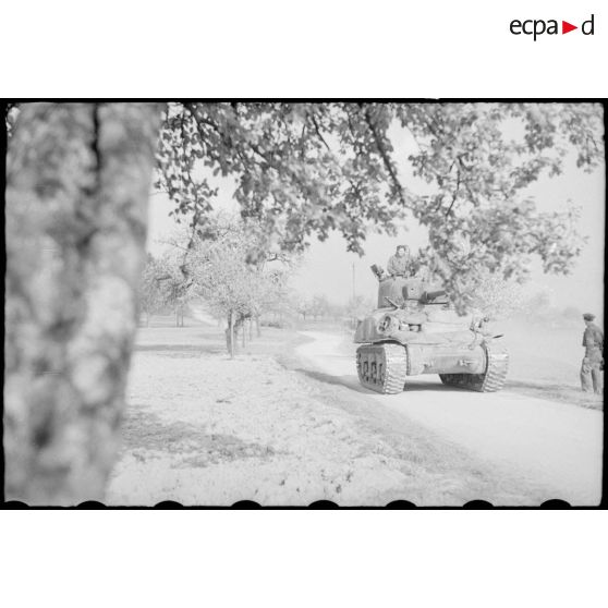 Prise de la ville de Freudestadt - Progression en Forêt Noire. [description provisoire]