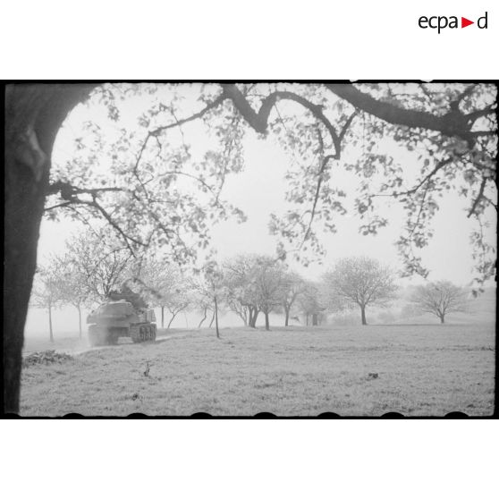 Prise de la ville de Freudestadt - Progression en Forêt Noire. [description provisoire]