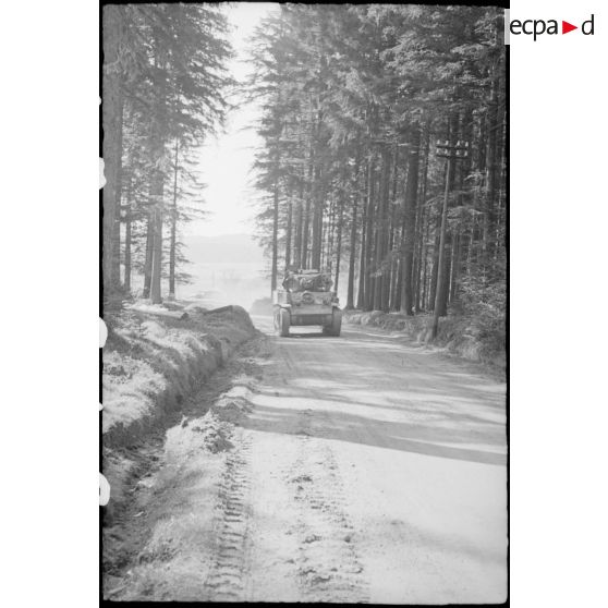 Prise de la ville de Freudestadt - Progression en Forêt Noire. [description provisoire]