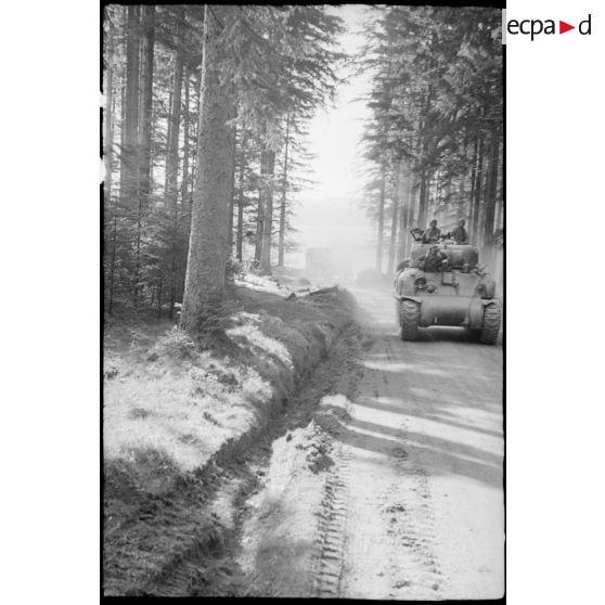 Prise de la ville de Freudestadt - Progression en Forêt Noire. [description provisoire]