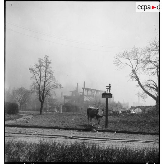 Vue d'une ville en flammes. [description provisoire]