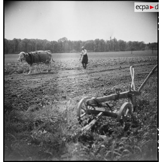 Paysan allemand travaillant dans un champ. [description provisoire]