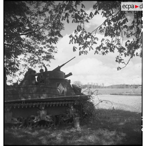 Canon automoteur du 62e RAA de la 5e DB en lisière d'un bois.