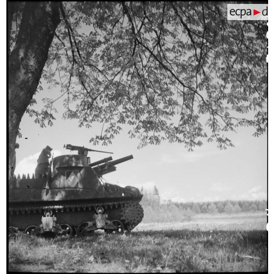 Canon automoteur du 62e RAA de la 5e DB en lisière d'un bois.