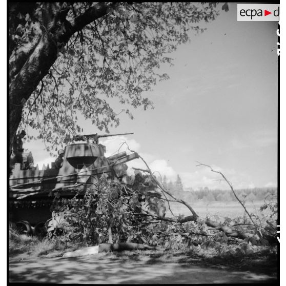 Canon automoteur du 62e RAA de la 5e DB en lisière d'un bois.