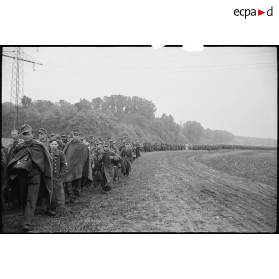 Déplacement de prisonniers de guerre allemands.