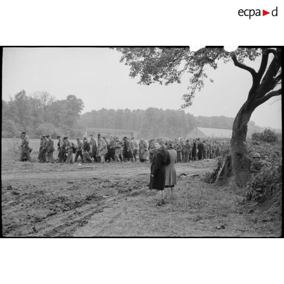 Déplacement de prisonniers de guerre allemands.