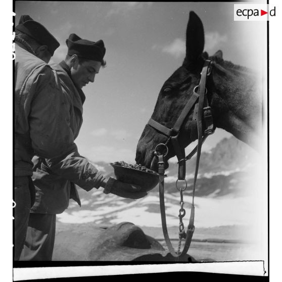 La bataille de l'Authion avec la 1re DFL (Division française libre) : franchissement du col de la Lombarde.