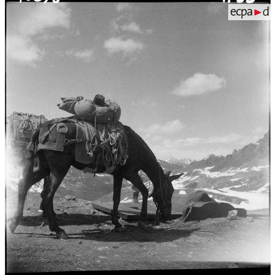 La bataille de l'Authion avec la 1re DFL (Division française libre) : franchissement du col de la Lombarde.