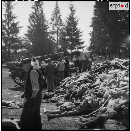 Amoncellement de cadavres de déportés dans le camp de concentration de Dachau libéré.