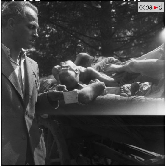 Dans le camp de concentration de Dachau libéré, les cadavres de déportés sont identifiés.