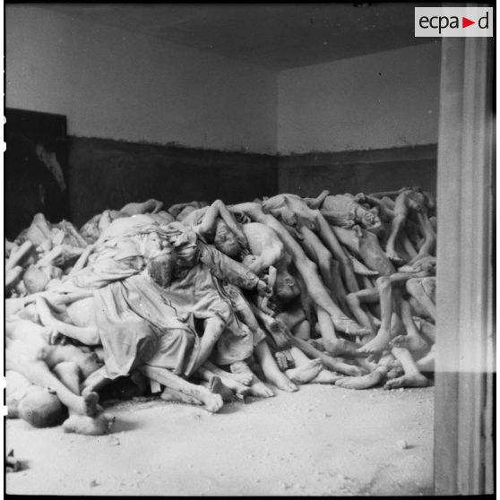 Amoncellement de cadavres de déportés dans une des pièces du grand crématorium du camp de concentration de Dachau libéré.