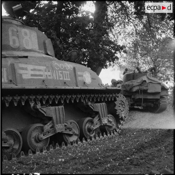 Colonne de chars Sherman de la 2e division blindée (2e DB) au bord du Rhin.