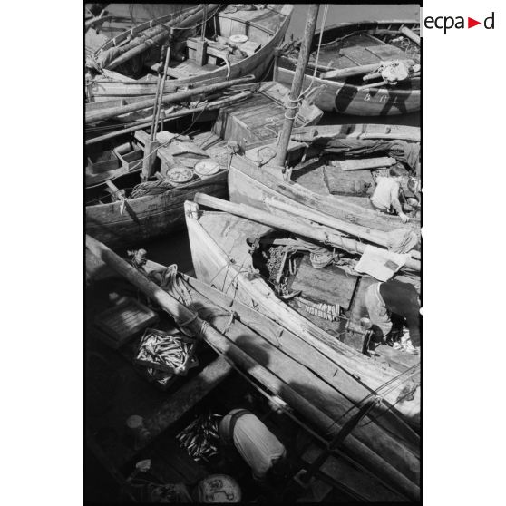 Barques de pêche à quai dans le port de Concarneau.