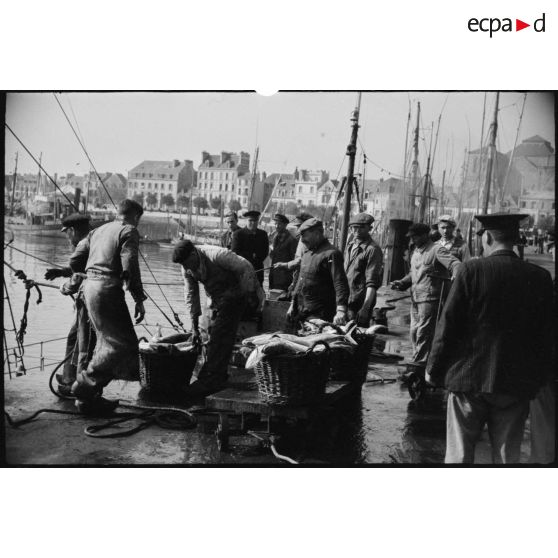 Retour de pêche sur le port de Concarneau.