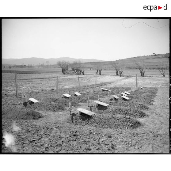 Cimetière militaire de Buonconvento.