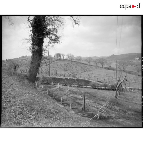 Cimetière militaire de Castel San Gimignano.