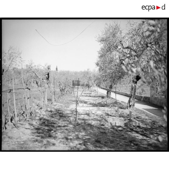 Cimetière militaire de La Selva.