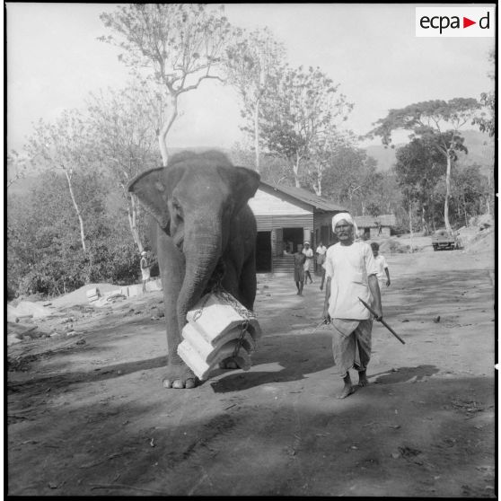 Transport des matériaux par un éléphant.