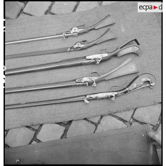 Détail des crosses de cinq fusils anciens.