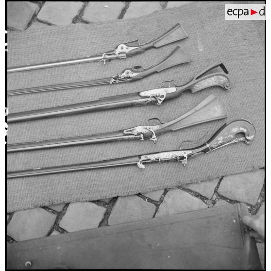 Détail des crosses de cinq fusils anciens.