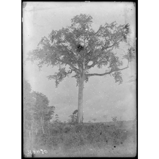 Edéa. Un fromager. [légende d'origine]