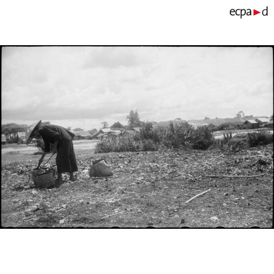 Femme aux champs à CHOLON.