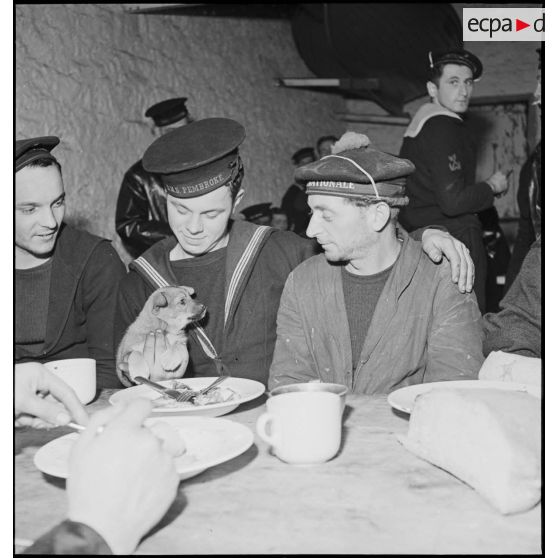 Photographie de groupe de marins français et d'un marin du HMS Pembroke de la Royal Navy prenant un repas en commun.