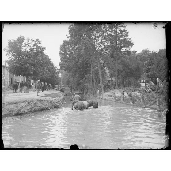 Suippes (4e armée). L’heure de l’abreuvoir. [légende d’origine]