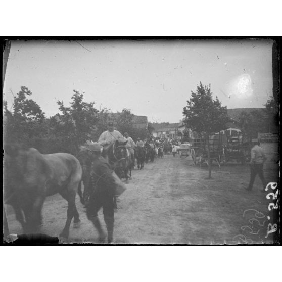 Souilly (Meuse). Soldats du Train conduisant leurs chevaux à l’abreuvoir. [légende d’origine]
