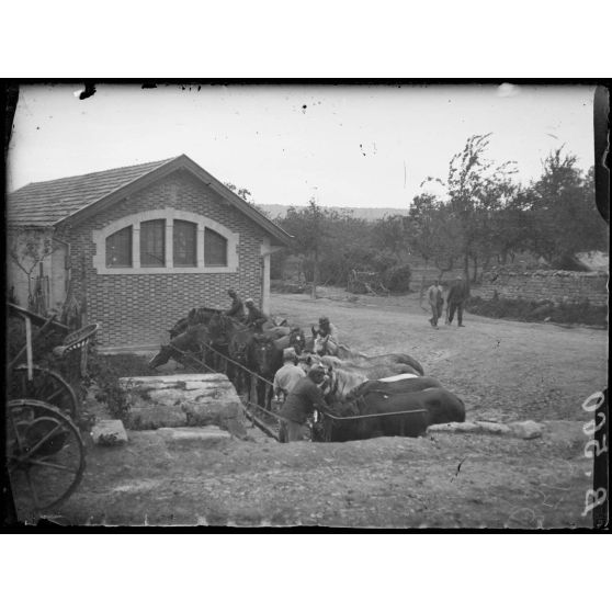 Souilly (Meuse). Soldats du Train conduisant leurs chevaux à l’abreuvoir. [légende d’origine]