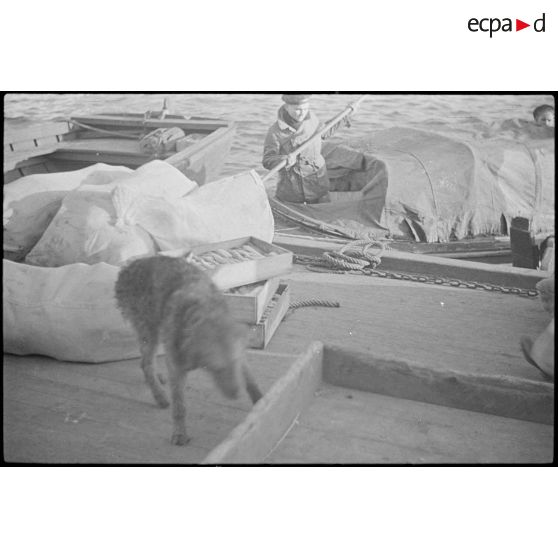 Des marins, de corvée de vivres, embarquent dans des chaloupes le ravitaillement destiné à l'escadre qui mouille au large.