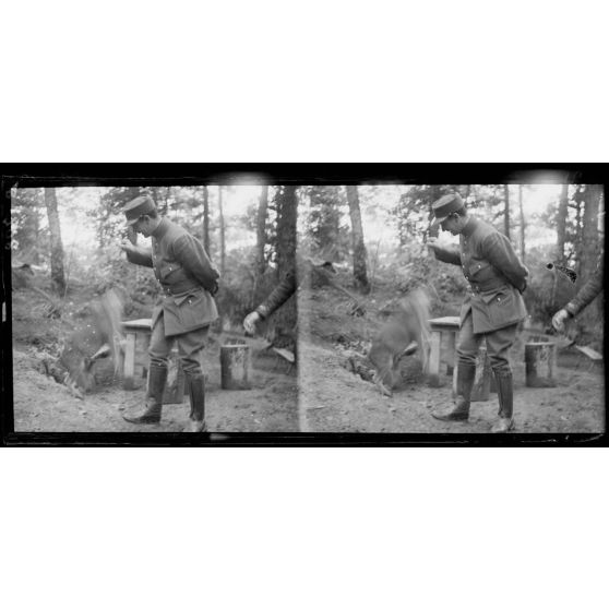 Forêt de Hesse : Guigui le sanglier élevé par les artilleurs. [légende d'origine]