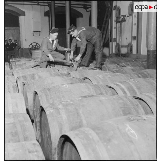 Tonneaux de vins entreposés dans les chais de la marine à Brest.