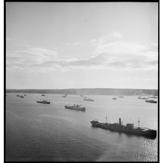 Un convoi se forme pour traverser l'Atantique.