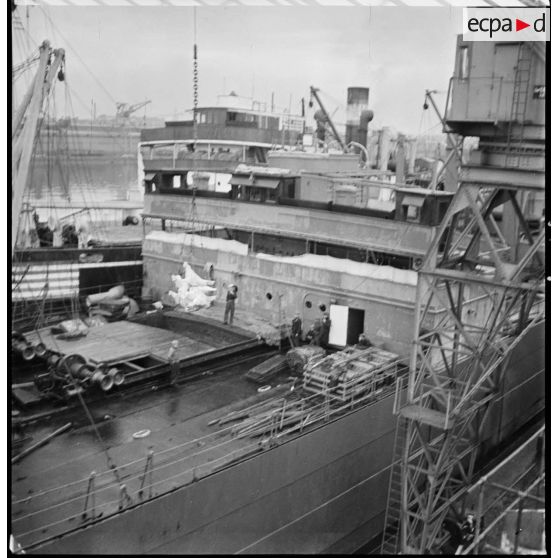 Déchargement de carcasses et découpes de viande dans un port.