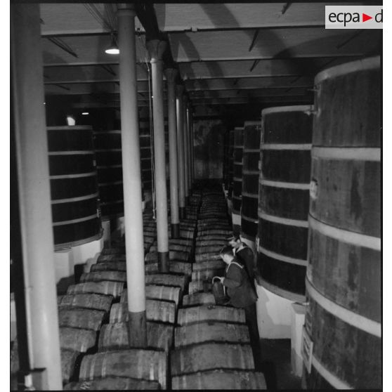 Chais de la Marine nationale à Brest.