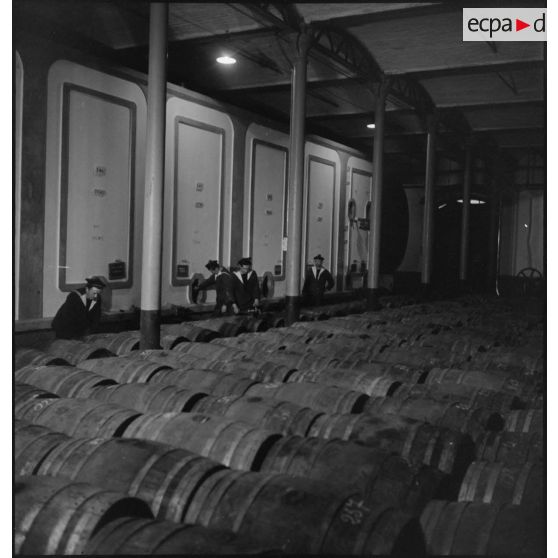 Chais de la Marine nationale à Brest.