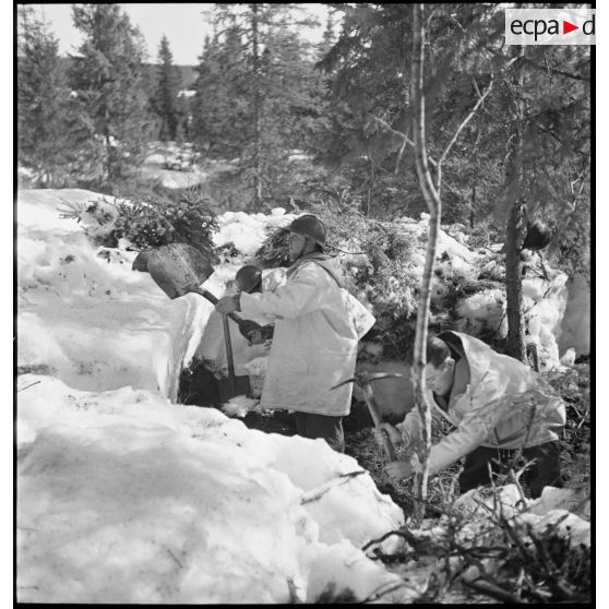 Des chasseurs alpins de la 1ère DLCh (Division légère de chasseurs) déblaient la neige pour préparer un poste d'observation ou un trou de combat.