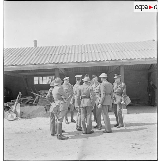 Officiers des armées de terre française, britannique et belge à Dunkerque.