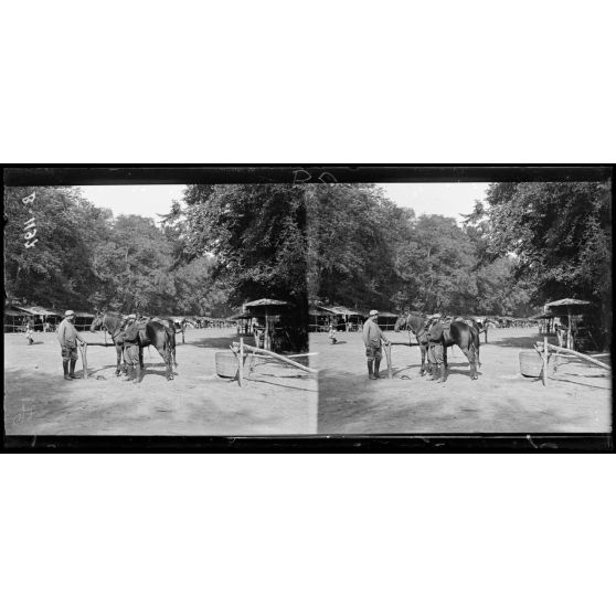 Parc d'Offémont (Oise). Les échelons du 51e d'Artillerie. Côté ouest du lac. [légende d'origine]