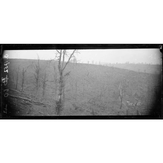 Les Eparges (Meuse). Panorama de la cote A des Hures,  la cote B de Montgirmont, la crête E des Eparges ; en dessous, le ravin de la Mort. [légende d'origine]