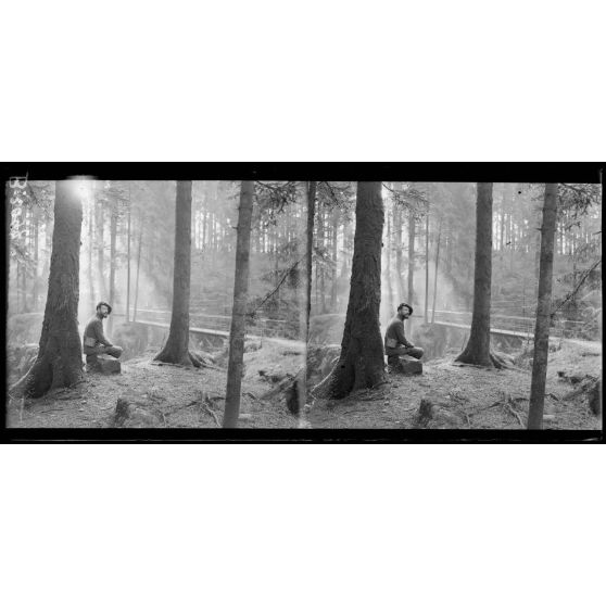 En forêt près de Gérardmer. [légende d’origine]