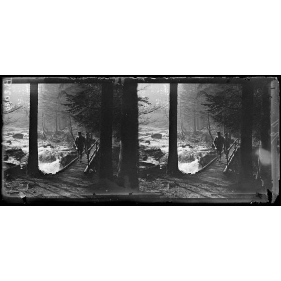 Dans les Vosges au soleil levant. [légende d’origine]