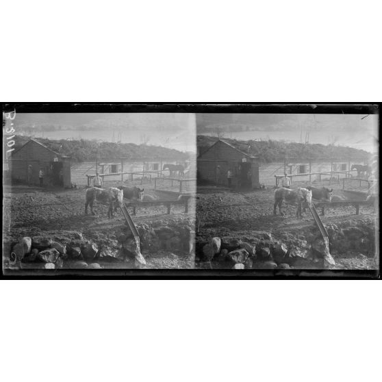 Le Rudlin. Abreuvoir installé aux bords de la Meurthe. [légende d'origine]