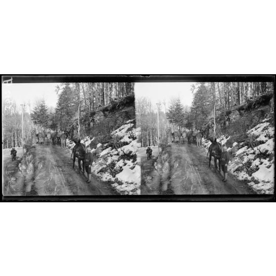 Convoi de mulets dans les Vosges. [légende d’origine]