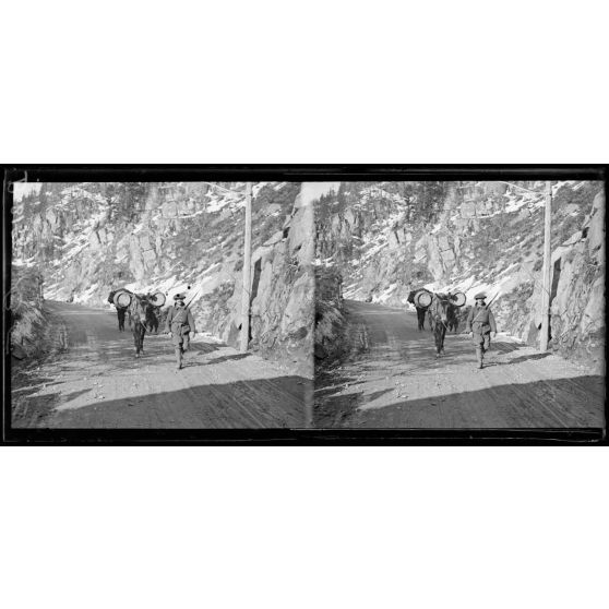 Mulet de ravitaillement, Vosges. [légende d’origine]